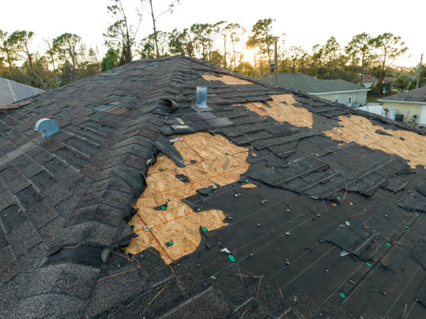 Best Roof Ventilation Installation  in Whitehouse, TX